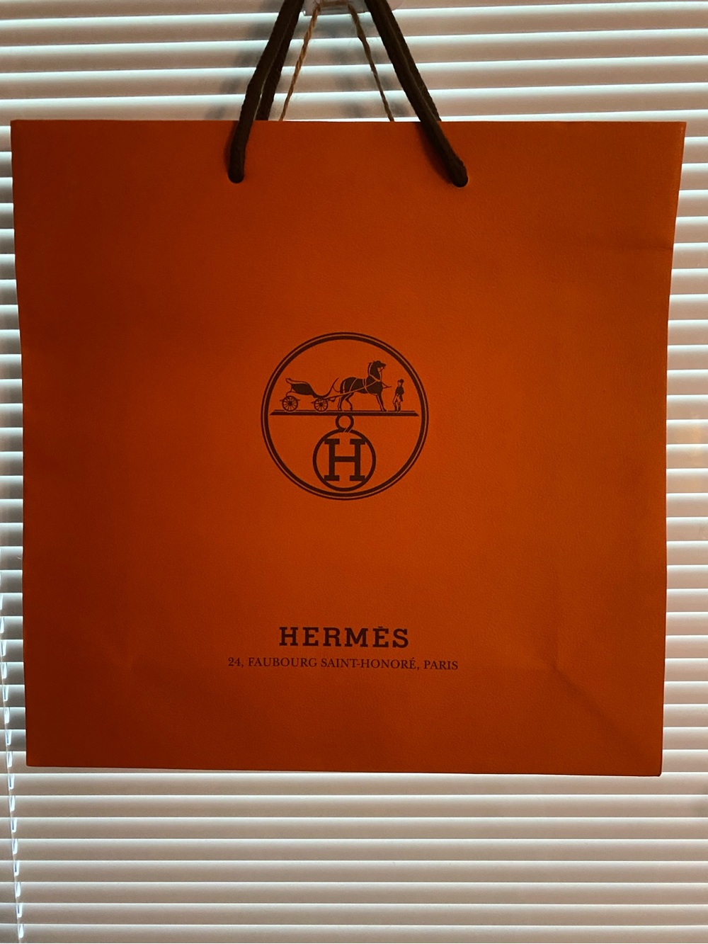 Hermes Shopping Bags